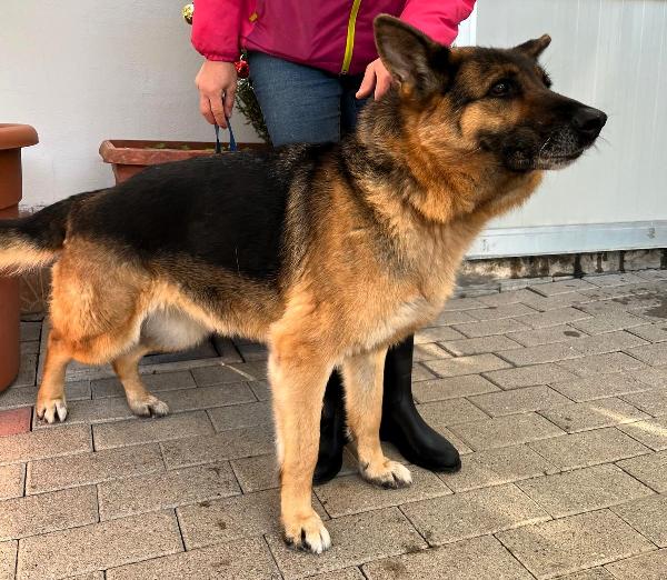 FEDERICA PASTORE TEDESCO Foto 6